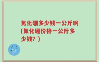 氮化硼多少钱一公斤啊(氮化硼价格一公斤多少钱？)