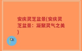 安庆灵芝盆景(安庆灵芝盆景：凝聚灵气之美)