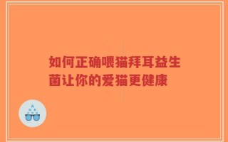 如何正确喂猫拜耳益生菌让你的爱猫更健康