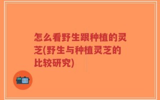 怎么看野生跟种植的灵芝(野生与种植灵芝的比较研究)