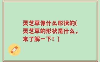 灵芝草像什么形状的(灵芝草的形状是什么，来了解一下！)