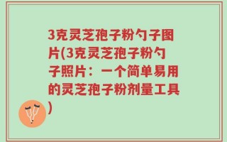 3克灵芝孢子粉勺子图片(3克灵芝孢子粉勺子照片：一个简单易用的灵芝孢子粉剂量工具)