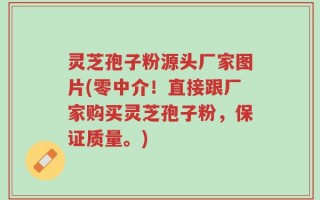 灵芝孢子粉源头厂家图片(零中介！直接跟厂家购买灵芝孢子粉，保证质量。)