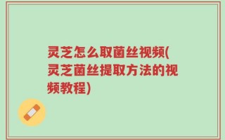 灵芝怎么取菌丝视频(灵芝菌丝提取方法的视频教程)