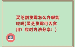 灵芝刚发霉怎么办呢能吃吗(灵芝发霉可否食用？应对方法分享！)