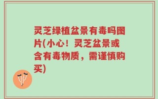 灵芝绿植盆景有毒吗图片(小心！灵芝盆景或含有毒物质，需谨慎购买)