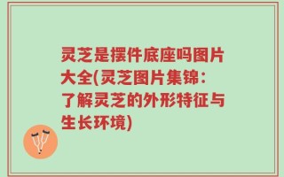 灵芝是摆件底座吗图片大全(灵芝图片集锦：了解灵芝的外形特征与生长环境)