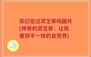 你们见过灵芝草吗图片(神奇的灵芝草：让你看到不一样的自然界)