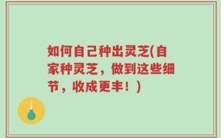 如何自己种出灵芝(自家种灵芝，做到这些细节，收成更丰！)