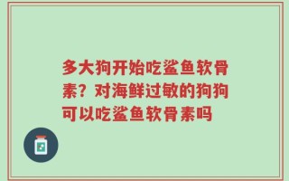 多大狗开始吃鲨鱼软骨素？对海鲜过敏的狗狗可以吃鲨鱼软骨素吗