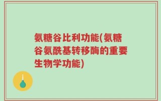 氨糖谷比利功能(氨糖谷氨酰基转移酶的重要生物学功能)