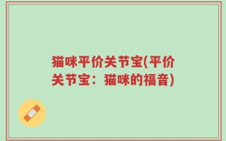 猫咪平价关节宝(平价关节宝：猫咪的福音)