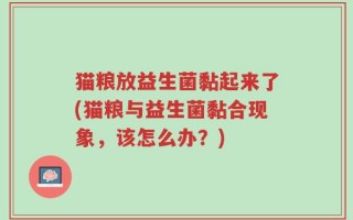 猫粮放益生菌黏起来了(猫粮与益生菌黏合现象，该怎么办？)