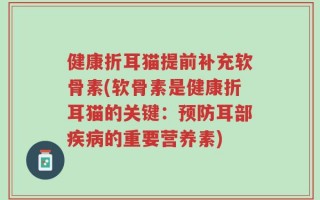 健康折耳猫提前补充软骨素(软骨素是健康折耳猫的关键：预防耳部疾病的重要营养素)