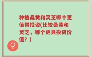 种植桑黄和灵芝哪个更值得投资(比较桑黄和灵芝，哪个更具投资价值？)