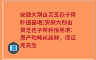 安徽大别山灵芝孢子粉种植基地(安徽大别山灵芝孢子粉种植基地：原产地味道新鲜，保证纯天然