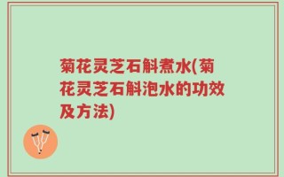 菊花灵芝石斛煮水(菊花灵芝石斛泡水的功效及方法)