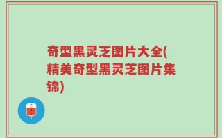 奇型黑灵芝图片大全(精美奇型黑灵芝图片集锦)