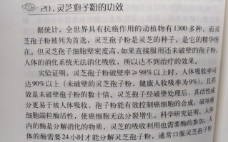 癌症不适合灵芝孢子粉吗？为什么有人癌症加重？