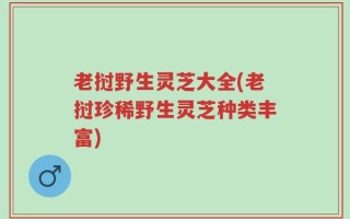 老挝野生灵芝大全(老挝珍稀野生灵芝种类丰富)