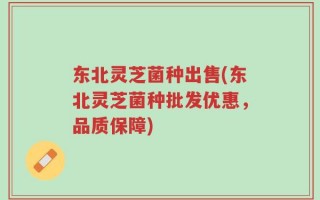 东北灵芝菌种出售(东北灵芝菌种批发优惠，品质保障)