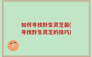 如何寻找野生灵芝菌(寻找野生灵芝的技巧)