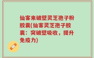 仙客来破壁灵芝孢子粉胶囊(仙客灵芝孢子胶囊：突破壁吸收，提升免疫力)