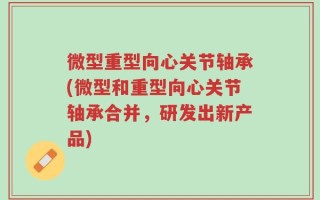 微型重型向心关节轴承(微型和重型向心关节轴承合并，研发出新产品)