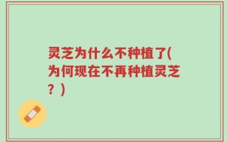 灵芝为什么不种植了(为何现在不再种植灵芝？)