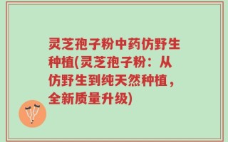 灵芝孢子粉中药仿野生种植(灵芝孢子粉：从仿野生到纯天然种植，全新质量升级)