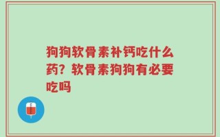 狗狗软骨素补钙吃什么药？软骨素狗狗有必要吃吗