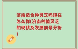 济南适合种灵芝吗现在怎么样(济南种植灵芝的现状及发展前景分析)
