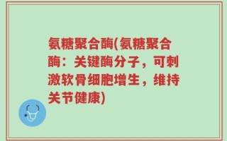 氨糖聚合酶(氨糖聚合酶：关键酶分子，可刺激软骨细胞增生，维持关节健康)