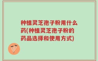种植灵芝孢子粉用什么药(种植灵芝孢子粉的药品选择和使用方式)