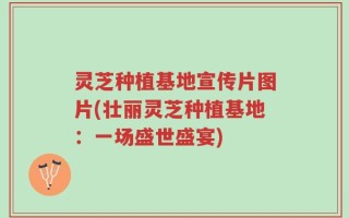 灵芝种植基地宣传片图片(壮丽灵芝种植基地：一场盛世盛宴)