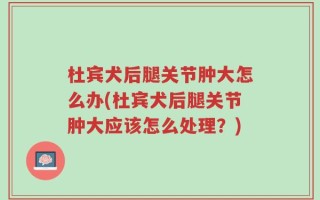 杜宾犬后腿关节肿大怎么办(杜宾犬后腿关节肿大应该怎么处理？)