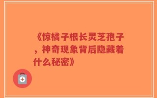 《惊橘子根长灵芝孢子，神奇现象背后隐藏着什么秘密》