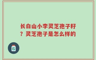 长白山小李灵芝孢子籽？灵芝孢子是怎么样的
