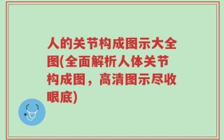 人的关节构成图示大全图(全面解析人体关节构成图，高清图示尽收眼底)