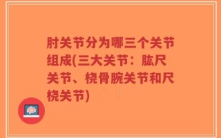 肘关节分为哪三个关节组成(三大关节：肱尺关节、桡骨腕关节和尺桡关节)