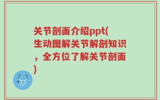 关节剖面介绍ppt(生动图解关节解剖知识，全方位了解关节剖面)