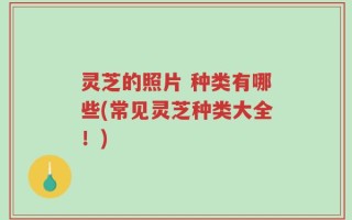灵芝的照片 种类有哪些(常见灵芝种类大全！)