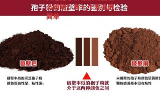 灵芝孢子粉破没破壁怎么辨别？有一个方法很简单