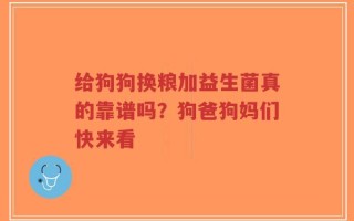给狗狗换粮加益生菌真的靠谱吗？狗爸狗妈们快来看