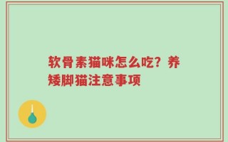 软骨素猫咪怎么吃？养矮脚猫注意事项