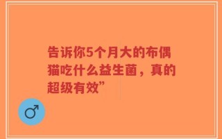 告诉你5个月大的布偶猫吃什么益生菌，真的超级有效”