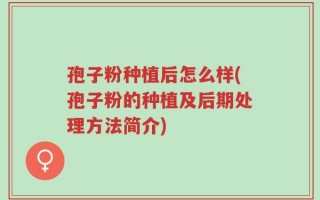 孢子粉种植后怎么样(孢子粉的种植及后期处理方法简介)