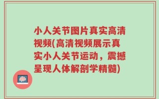 小人关节图片真实高清视频(高清视频展示真实小人关节运动，震撼呈现人体解剖学精髓)