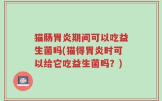 猫肠胃炎期间可以吃益生菌吗(猫得胃炎时可以给它吃益生菌吗？)