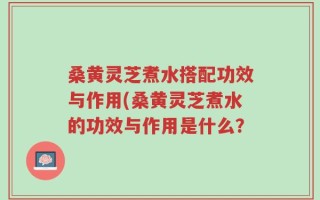 桑黄灵芝煮水搭配功效与作用(桑黄灵芝煮水的功效与作用是什么？